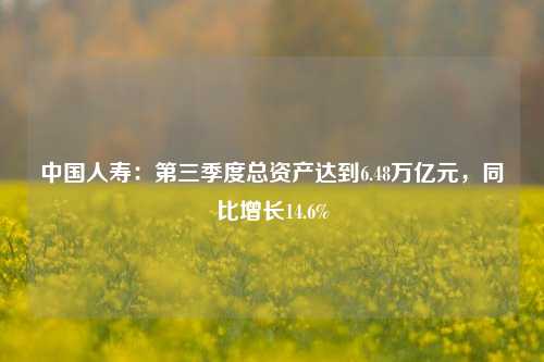 中国人寿：第三季度总资产达到6.48万亿元，同比增长14.6%