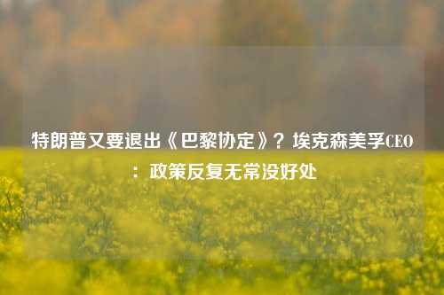 特朗普又要退出《巴黎协定》？埃克森美孚CEO：政策反复无常没好处