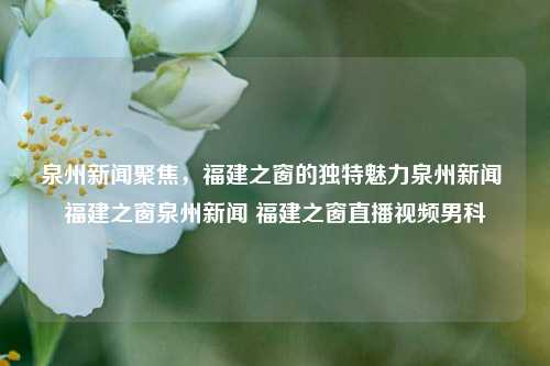 泉州新闻聚焦，福建之窗的独特魅力泉州新闻 福建之窗泉州新闻 福建之窗直播视频男科