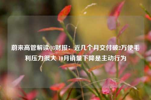 蔚来高管解读Q3财报：近几个月交付破2万使毛利压力很大 10月销量下降是主动行为