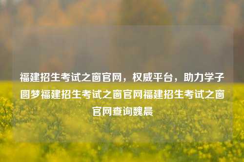 福建招生考试之窗官网，权威平台，助力学子圆梦福建招生考试之窗官网福建招生考试之窗官网查询魏晨