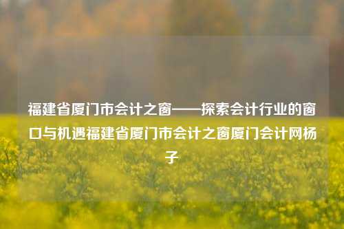 福建省厦门市会计之窗——探索会计行业的窗口与机遇福建省厦门市会计之窗厦门会计网杨子