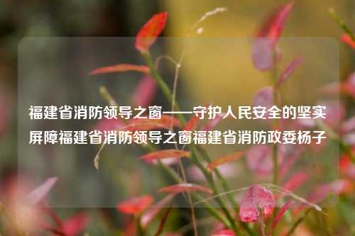 福建省消防领导之窗——守护人民安全的坚实屏障福建省消防领导之窗福建省消防政委杨子