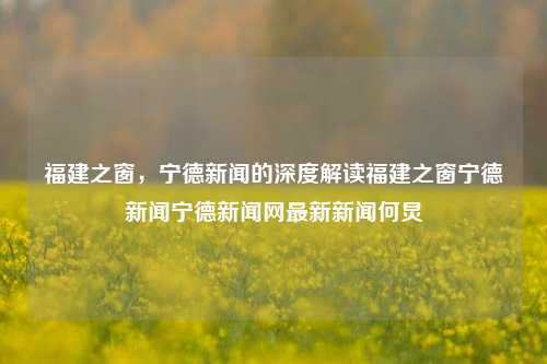 福建之窗，宁德新闻的深度解读福建之窗宁德新闻宁德新闻网最新新闻何炅