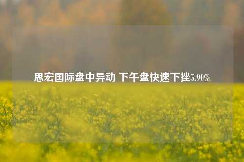 思宏国际盘中异动 下午盘快速下挫5.90%