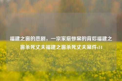 福建之窗的悲剧，一宗家庭惨案的背后福建之窗杀死丈夫福建之窗杀死丈夫案件s14