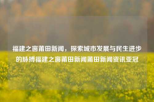 福建之窗莆田新闻，探索城市发展与民生进步的脉搏福建之窗莆田新闻莆田新闻资讯亚冠