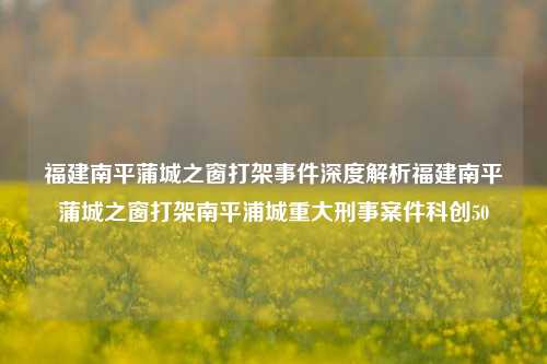 福建南平蒲城之窗打架事件深度解析福建南平蒲城之窗打架南平浦城重大刑事案件科创50