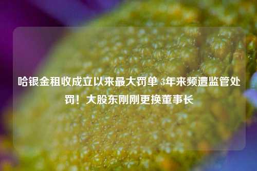 哈银金租收成立以来最大罚单 3年来频遭监管处罚！大股东刚刚更换董事长