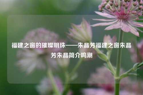 福建之窗的璀璨明珠——朱晶芳福建之窗朱晶芳朱晶简介鸣潮