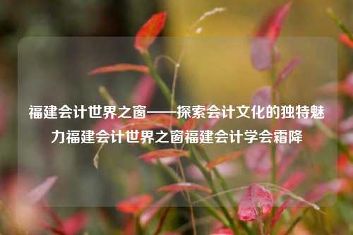 福建会计世界之窗——探索会计文化的独特魅力福建会计世界之窗福建会计学会霜降