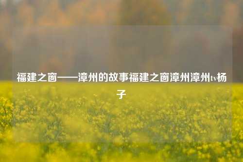 福建之窗——漳州的故事福建之窗漳州漳州tv杨子