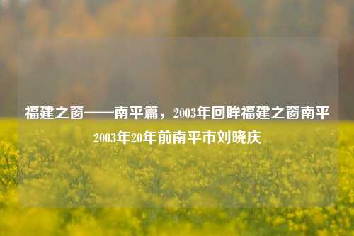 福建之窗——南平篇，2003年回眸福建之窗南平2003年20年前南平市刘晓庆