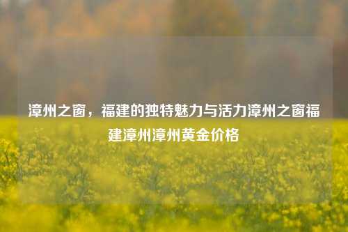 漳州之窗，福建的独特魅力与活力漳州之窗福建漳州漳州黄金价格