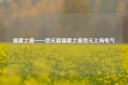 福建之窗——池元篇福建之窗池元上海电气