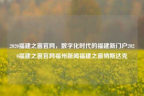 2020福建之窗官网，数字化时代的福建新门户2020福建之窗官网福州新闻福建之窗纳斯达克