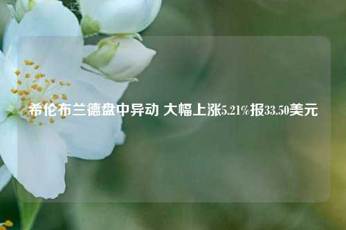 希伦布兰德盘中异动 大幅上涨5.21%报33.50美元