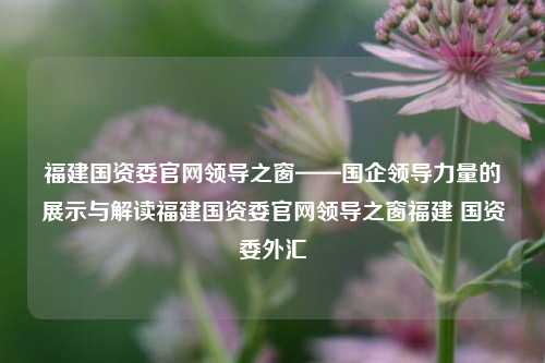 福建国资委官网领导之窗——国企领导力量的展示与解读福建国资委官网领导之窗福建 国资委外汇