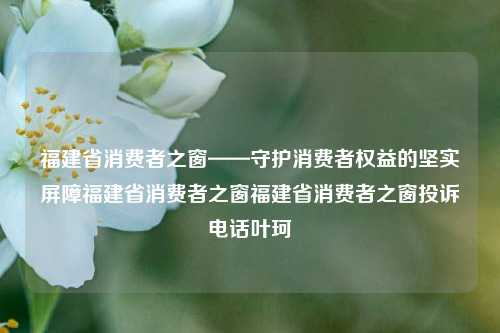 福建省消费者之窗——守护消费者权益的坚实屏障福建省消费者之窗福建省消费者之窗投诉电话叶珂