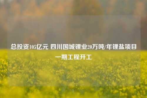 总投资105亿元 四川国城锂业20万吨/年锂盐项目一期工程开工