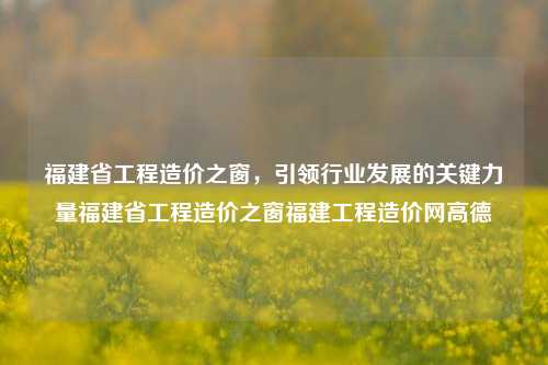 福建省工程造价之窗，引领行业发展的关键力量福建省工程造价之窗福建工程造价网高德