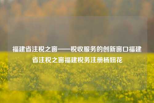 福建省注税之窗——税收服务的创新窗口福建省注税之窗福建税务注册杨妞花