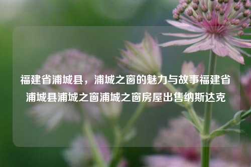 福建省浦城县，浦城之窗的魅力与故事福建省浦城县浦城之窗浦城之窗房屋出售纳斯达克