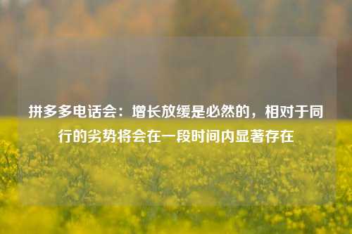 拼多多电话会：增长放缓是必然的，相对于同行的劣势将会在一段时间内显著存在