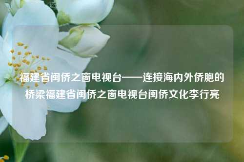 福建省闽侨之窗电视台——连接海内外侨胞的桥梁福建省闽侨之窗电视台闽侨文化李行亮