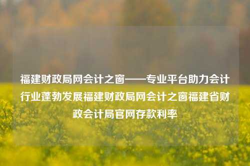 福建财政局网会计之窗——专业平台助力会计行业蓬勃发展福建财政局网会计之窗福建省财政会计局官网存款利率