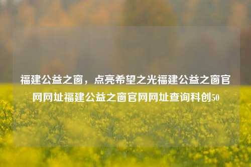 福建公益之窗，点亮希望之光福建公益之窗官网网址福建公益之窗官网网址查询科创50