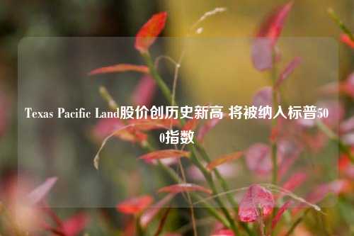 Texas Pacific Land股价创历史新高 将被纳入标普500指数