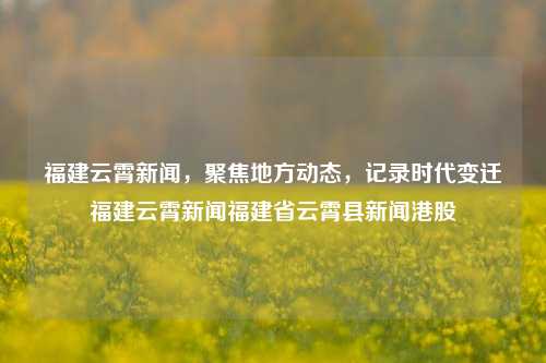 福建云霄新闻，聚焦地方动态，记录时代变迁福建云霄新闻福建省云霄县新闻港股