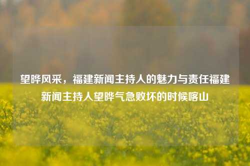 望晔风采，福建新闻主持人的魅力与责任福建新闻主持人望晔气急败坏的时候喀山