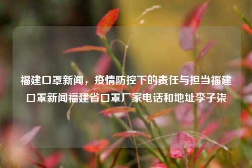 福建口罩新闻，疫情防控下的责任与担当福建口罩新闻福建省口罩厂家电话和地址李子柒