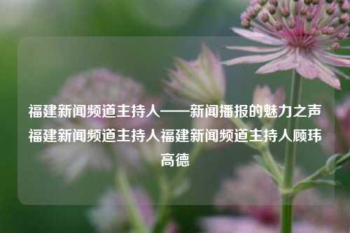 福建新闻频道主持人——新闻播报的魅力之声福建新闻频道主持人福建新闻频道主持人顾玮高德