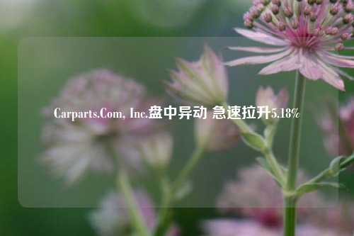 Carparts.Com, Inc.盘中异动 急速拉升5.18%