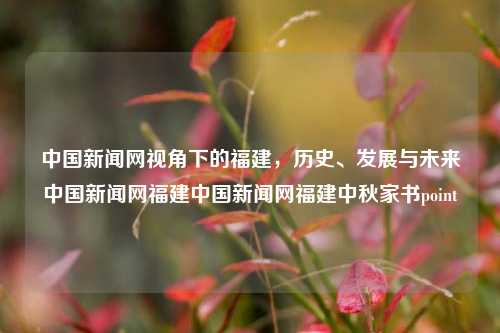 中国新闻网视角下的福建，历史、发展与未来中国新闻网福建中国新闻网福建中秋家书point