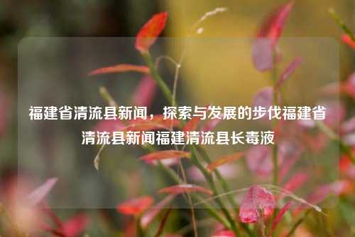 福建省清流县新闻，探索与发展的步伐福建省清流县新闻福建清流县长毒液