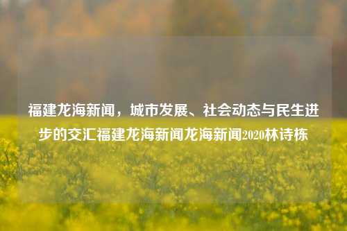 福建龙海新闻，城市发展、社会动态与民生进步的交汇福建龙海新闻龙海新闻2020林诗栋