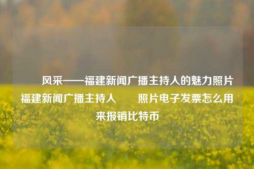 瑄瑄风采——福建新闻广播主持人的魅力照片福建新闻广播主持人瑄瑄照片电子发票怎么用来报销比特币