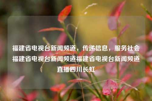 福建省电视台新闻频道，传递信息，服务社会福建省电视台新闻频道福建省电视台新闻频道直播四川长虹