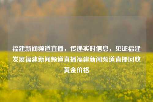 福建新闻频道直播，传递实时信息，见证福建发展福建新闻频道直播福建新闻频道直播回放黄金价格