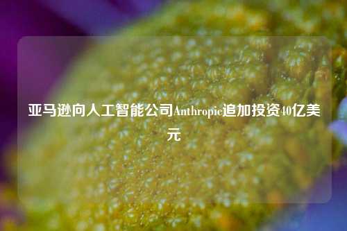 亚马逊向人工智能公司Anthropic追加投资40亿美元