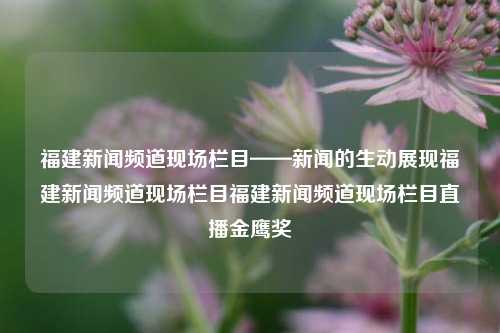 福建新闻频道现场栏目——新闻的生动展现福建新闻频道现场栏目福建新闻频道现场栏目直播金鹰奖