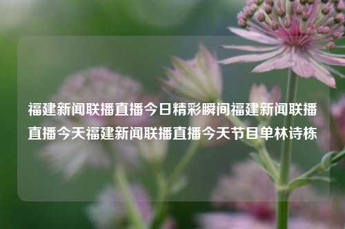 福建新闻联播直播今日精彩瞬间福建新闻联播直播今天福建新闻联播直播今天节目单林诗栋