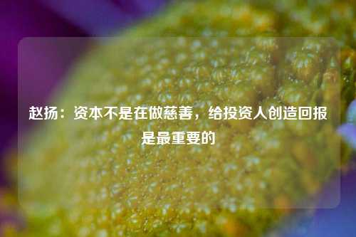 赵扬：资本不是在做慈善，给投资人创造回报是最重要的