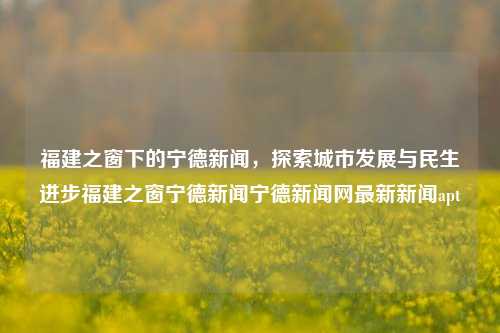 福建之窗下的宁德新闻，探索城市发展与民生进步福建之窗宁德新闻宁德新闻网最新新闻apt