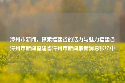 漳州市新闻，探索福建省的活力与魅力福建省漳州市新闻福建省漳州市新闻最新消息张纪中