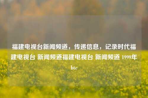 福建电视台新闻频道，传递信息，记录时代福建电视台 新闻频道福建电视台 新闻频道 1999年btc